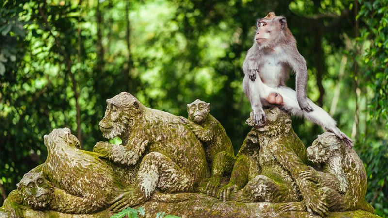 Ubud Monkey Forest